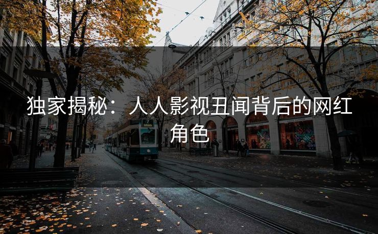 独家揭秘：人人影视丑闻背后的网红角色