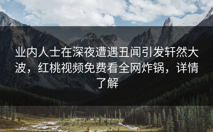 业内人士在深夜遭遇丑闻引发轩然大波，红桃视频免费看全网炸锅，详情了解