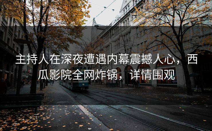 主持人在深夜遭遇内幕震撼人心，西瓜影院全网炸锅，详情围观