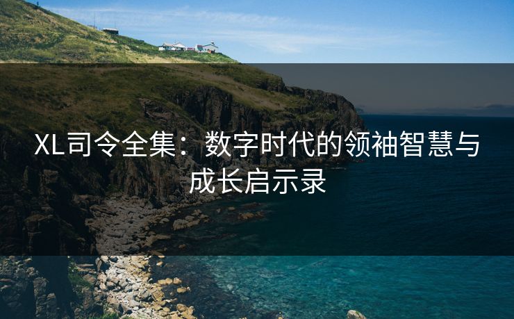 XL司令全集：数字时代的领袖智慧与成长启示录